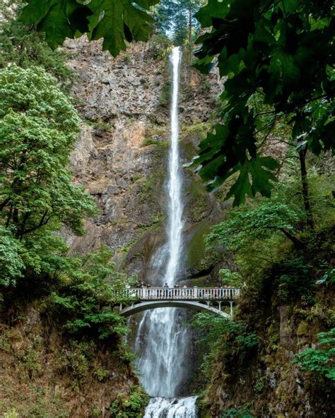 10 STUNNING OREGON WATERFALL HIKES 2024