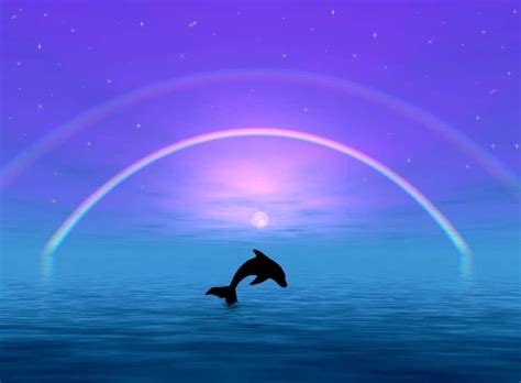 Download Cute Dolphin Silhouette Wallpaper | Wallpapers.com