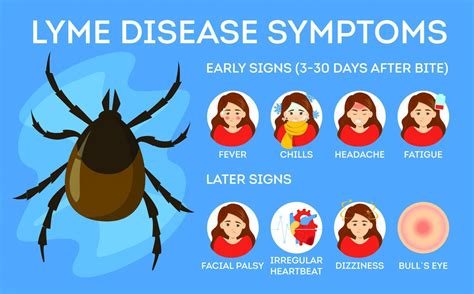 Lyme Disease | Rahway, NJ