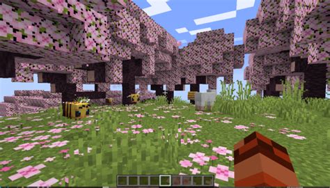 How to Explore the Cherry Blossom Biome and Bundles Early in Minecraft ...