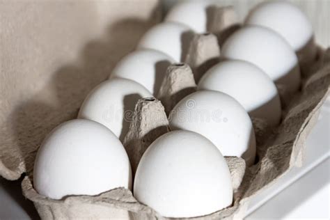 White Egg Organic Carton Package, Close Up View Stock Image - Image of ...