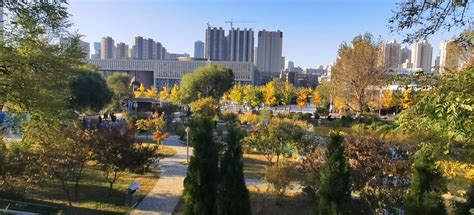 Dalian Maritime University – GOCHINASTUDY