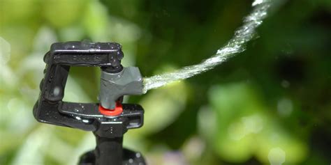 Mini Sprinkler Irrigation System – Rungta Irrigation