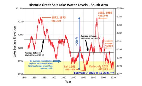 Drought Negatively Impacting Great Salt Lake Microbialites and Ecosystem - Utah Geological Survey