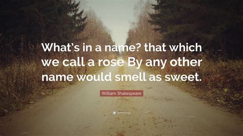 William Shakespeare Quote: “What’s in a name? that which we call a rose By any other name would ...