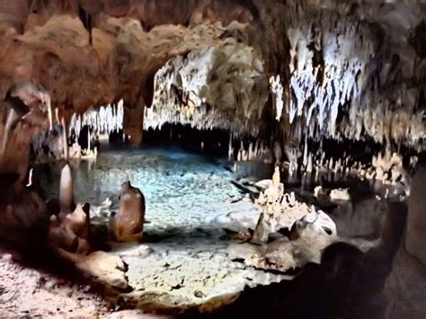 Cayman Crystal Caves | Grand cayman island, Grand cayman, Cayman