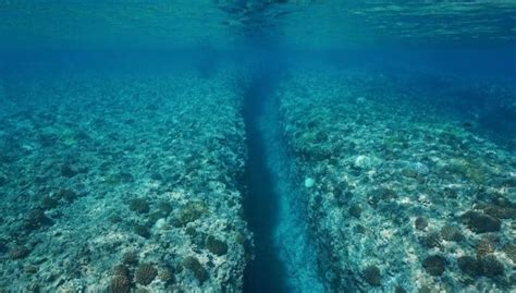 Here’s How Oceanic Trenches Are Formed – Nayturr