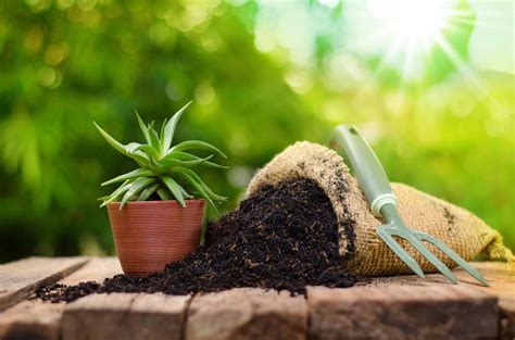 Benefits of Using Organic Fertilizer - Keleny Top Soil