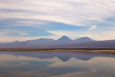 Atacama Desert Tours: Exploring the lagoons of the Atacama Desert