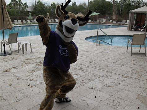 'Thunder' GCU Mascot | Flickr - Photo Sharing!