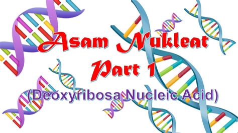 DNA (Asam Nukleat Part 1) - YouTube