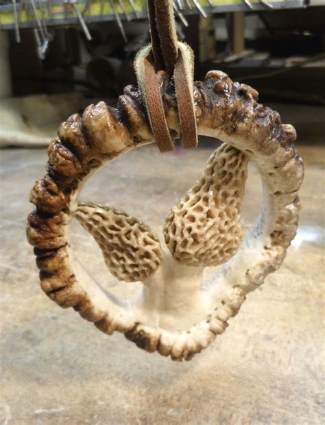 Elk Antler Bur Carving , Morel Mushroom, Shed, Folk Art ,Deer | Antler crafts, Deer antler ...