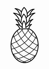 Free Coloring Pages Pineapple sketch template