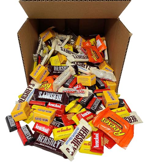 Amazon.com : Bulk Chocolate Candy Bars Individually Wrapped, Fun Mix of ...