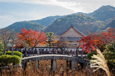 รูปJapan Kyoto Tenryuji Temple Autumn ฤดูใบไม้ร่วง, HD รูปภาพใบเมเปิ้ล, เมเปิ้ลแดง, สี ดาวน์โหลด ...