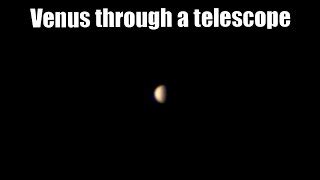 Venus From Telescope