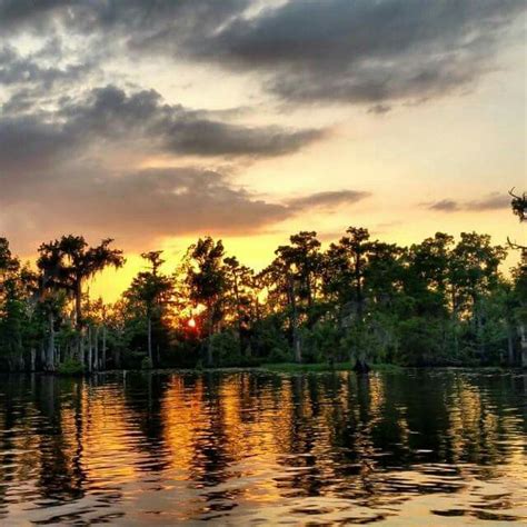 Bayou sunset | The great outdoors, Outdoor, Sunset