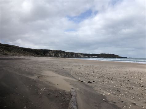 Whitepark Bay Antrim 18.03 (5) – UK Fossil Collecting