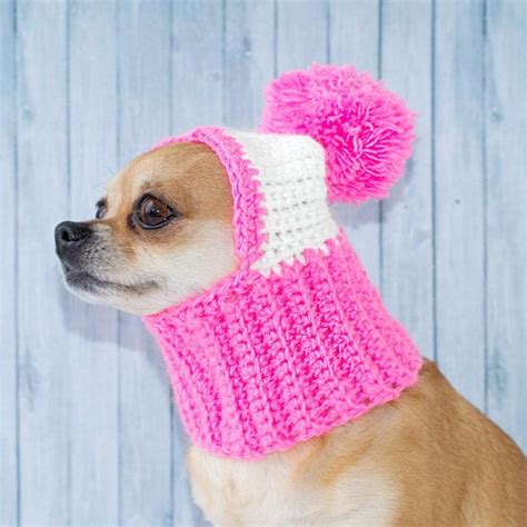 Funny Dog Hat Cozy Crochet Dog Hat Warm Knitted Dog Hat Puppy Chunky ...