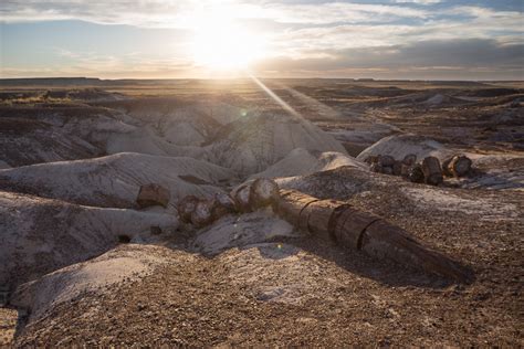 Petrified Forest National Park and the Painted Desert – clubantietam.com