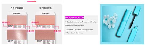 About PANTONE Color Card - Zmic