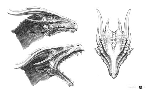 Olga Antonenko - Dragon head sketches for feature film "He is a dragon".