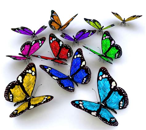 🔥 [50+] Colorful Butterflies Wallpapers | WallpaperSafari