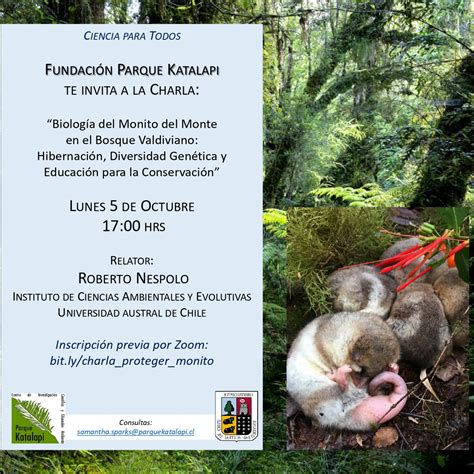 Biología del Monito del Monte en el Bosque Valdiviano - Nuestra Esfera