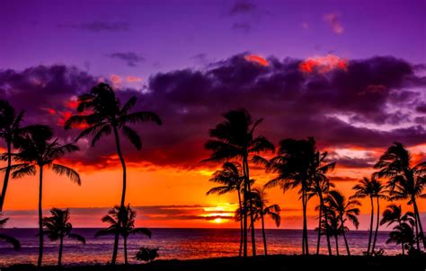 Hawaiian Purple Sunset | Wallpapers Gallery