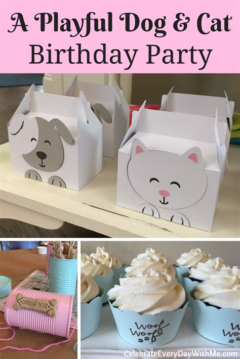 A Playful Dog and Cat Birthday Party - Celebrate Every Day With Me