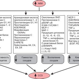 Biomarkers of oxidative stress induced by active oxygen metabolites ...