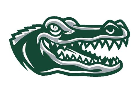 New Caney West Fork Gators - Texas HS Logo Project