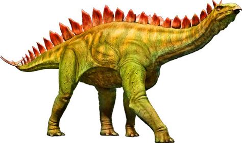 Stegosaurus | Habitat + Appearance + Diet | - Science4Fun