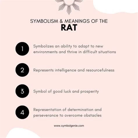 Rat: Symbolism, Meanings, and History - Symbol Genie