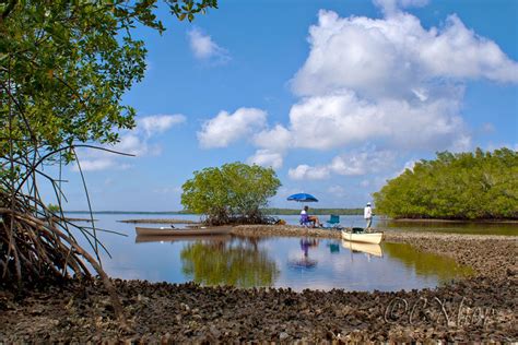 Florida Photography from a Canoe: Winter camping in the Everglades