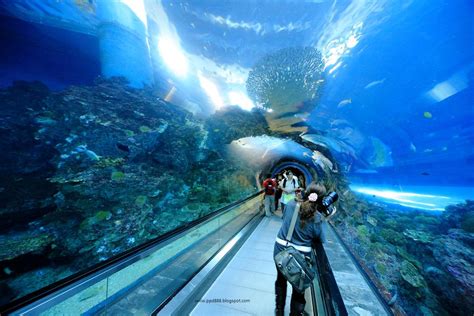 39 photos of of the National Museum of Marine Biology and Aquarium in Taiwan | BOOMSbeat