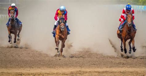 The Derby’s Impact on Betting: Horse Racing’s Crown Jewel and Its ...