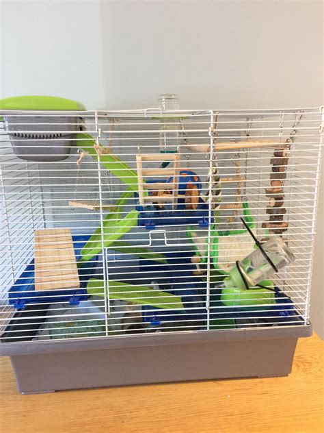 New mice cage setup, tips/ suggestions appreciated! : r/PetMice