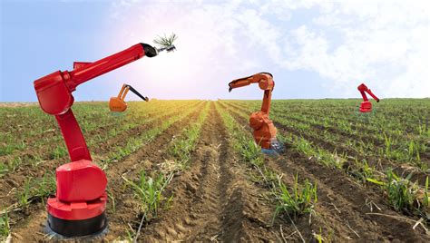 What can robotics offer to agriculture? - Agri Machines World