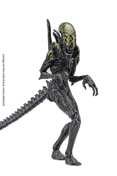 AVP GRID ALIEN PX 1/18 SCALE FIGURE – Smallville Comics