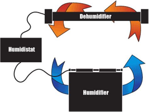 The Importance of Humidity Control Systems | Blog