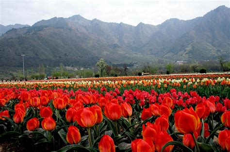 8 Charming Spring Getaways in India!