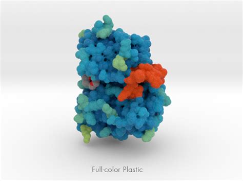 Protein Model 3D Print Request - Biologic Models