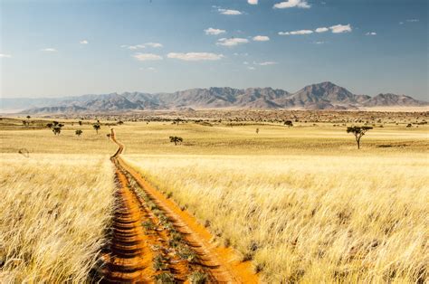 Free Images : landscape, nature, sand, field, wheat, prairie, desert, food, crop, soil ...