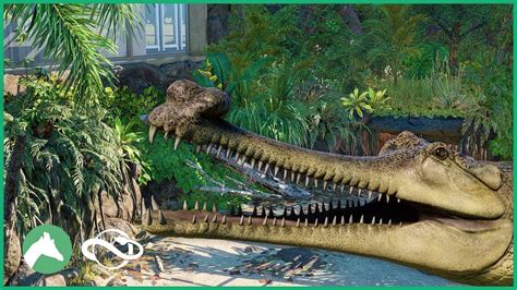 Gharial Indoor Habitat | Elm Hill City Zoo | Planet Zoo - YouTube