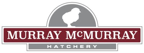 Murray McMurray Hatchery - Quail Chicks