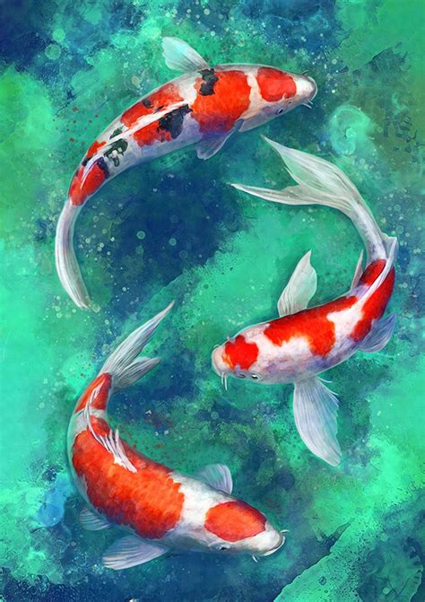 Related image | Koi art, Koi painting, Koi fish drawing