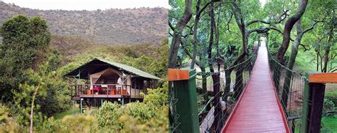 Sekenani Camp, Masai Mara - Kenya - AfricanMecca Safaris & Tours