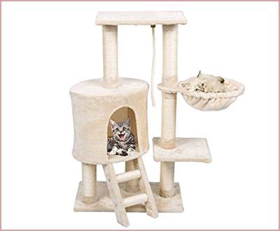 10 Best Cat Trees - Pet Toy Reviews