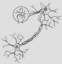 Medical Treatment Pictures-for Better Understanding: Landau-Kleffner Syndrome